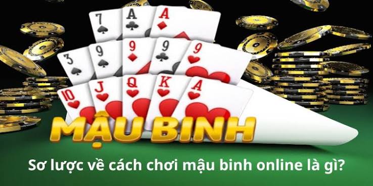 Cao thủ đang sắp xếp 13 lá bài Mậu Binh trực tuyến